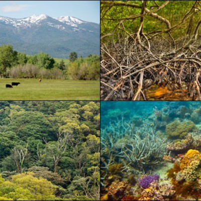 Ecosystem services and human wellbeing